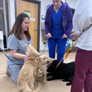 Veterinarians with cute puppies