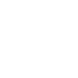 bug prevent